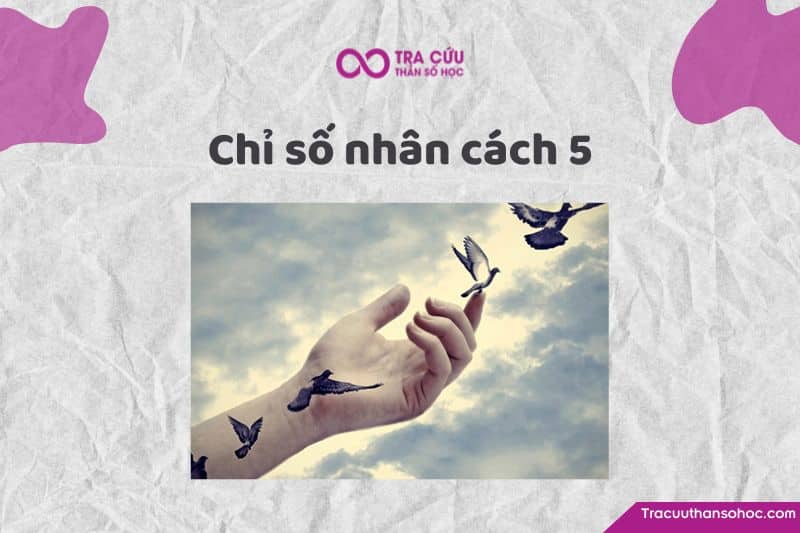 Chỉ số nhân cách 5 là gì? Đặc điểm tính cách và con đường tình yêu, sự nghiệp 1 Chỉ số nhân cách 5 có ý nghĩa gì? Tìm hiểu về tính cách, tình yêu và sự nghiệp