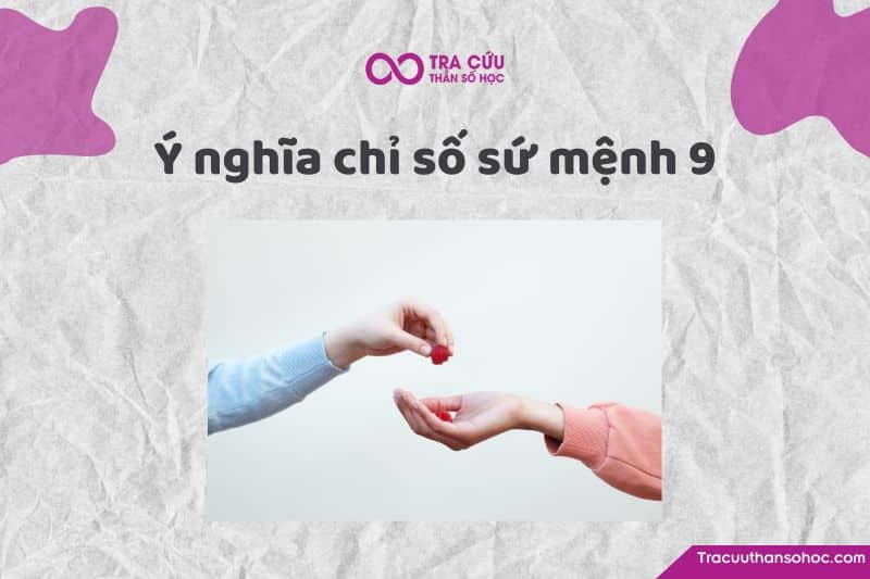 Chỉ số sứ mệnh 9 là gì?