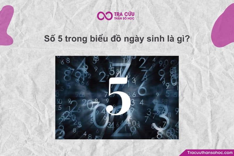 Số 5 là con số vô cùng quan trọng vì nó nằm ngay tại vị trí trung tâm của Biểu đồ ngày sinh