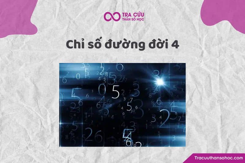 Chỉ số đường đời 4 Chỉ số đường đời 4