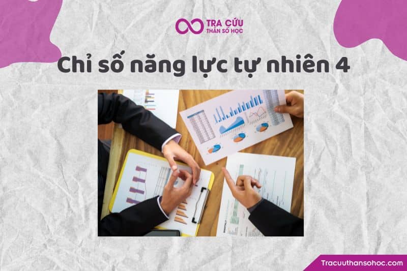 Chỉ số năng lực tự nhiên Chỉ số năng lực tự nhiên