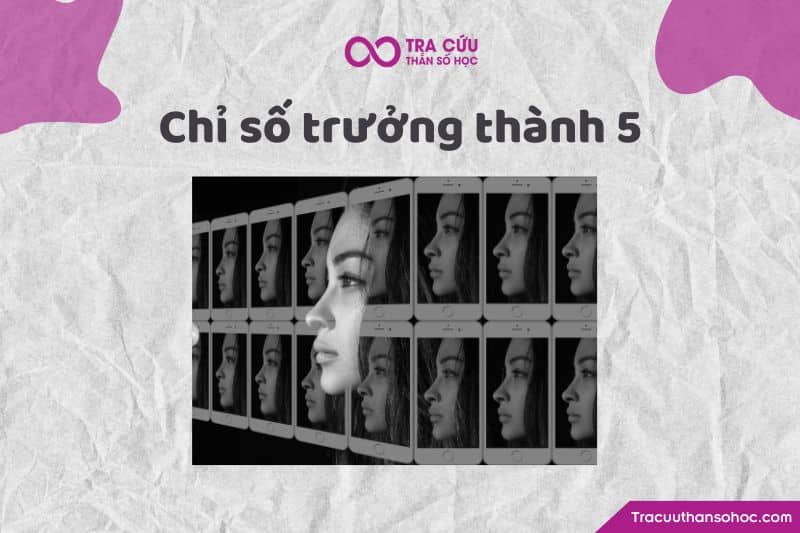 Chỉ số trưởng thành 5