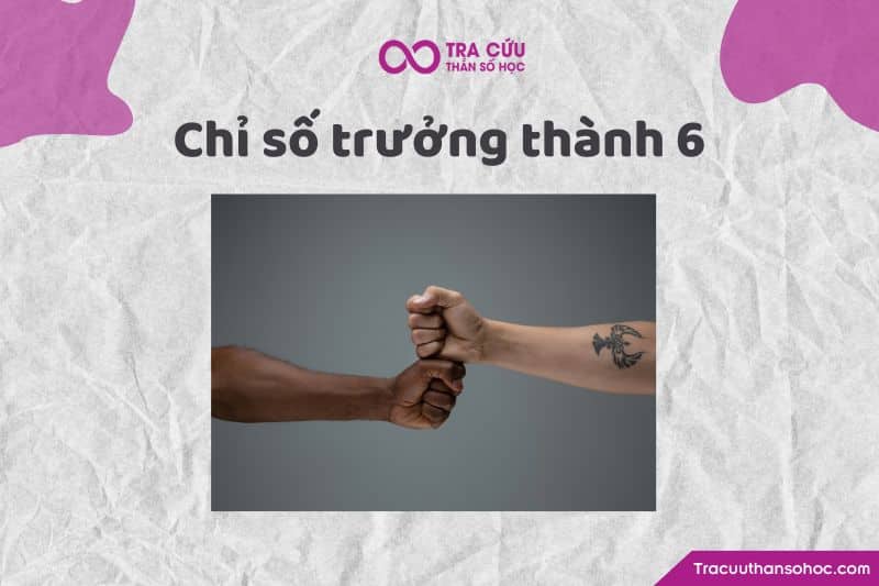 Chỉ số trưởng thành 6 Chỉ số trưởng thành 6