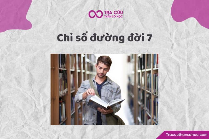 Chỉ số đường đời 7 Chỉ số đường đời 7