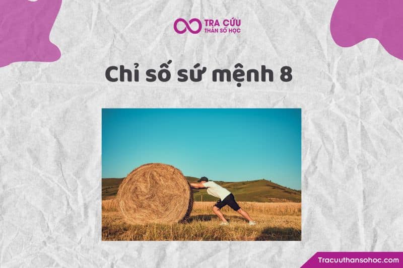 Chỉ số sứ mệnh 8 Chỉ số sứ mệnh 8