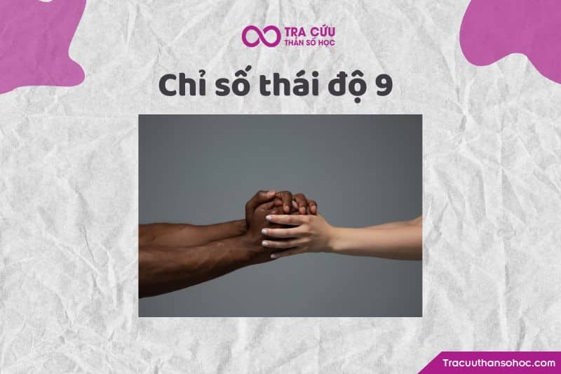 Chỉ số thái độ 9 Chỉ số thái độ 9